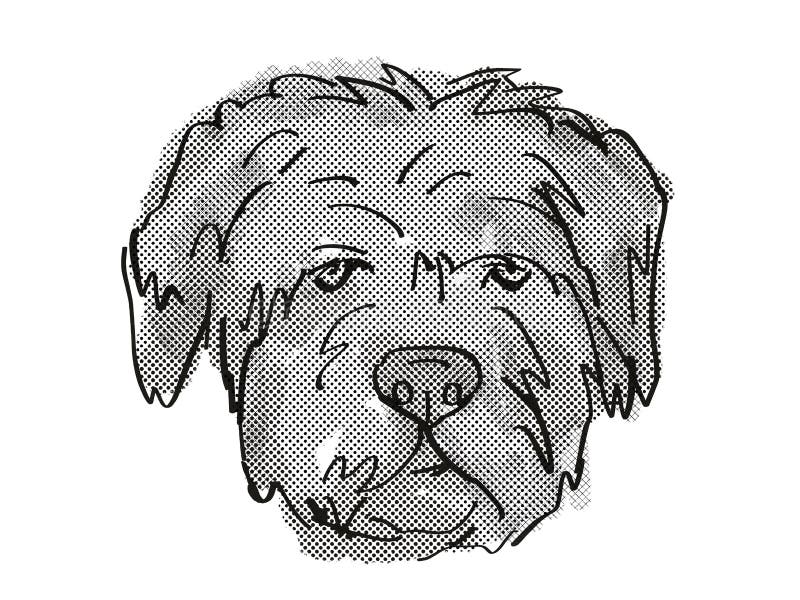 Bouvier Des Flandres Dog Breed Cartoon Retro Drawing Stock Abbildung Illustration Von Zeichnung Welpe 160698706