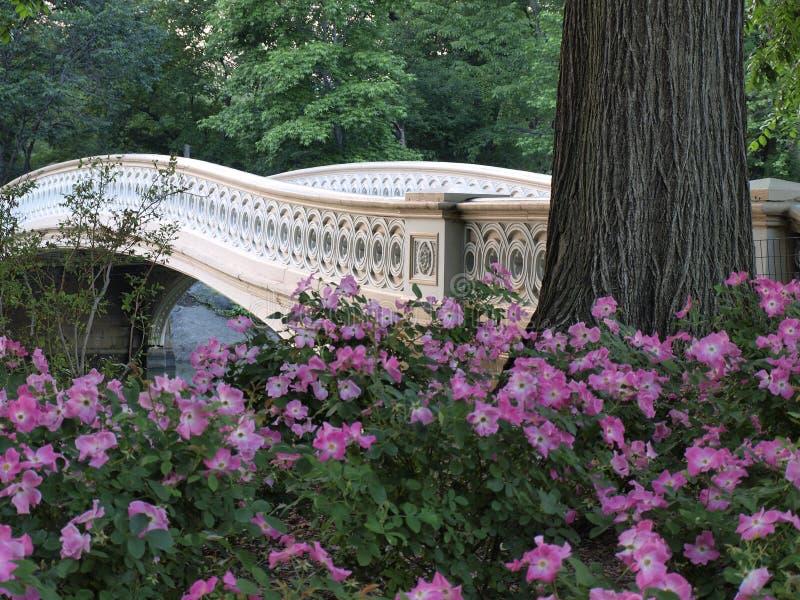 Bow bridge