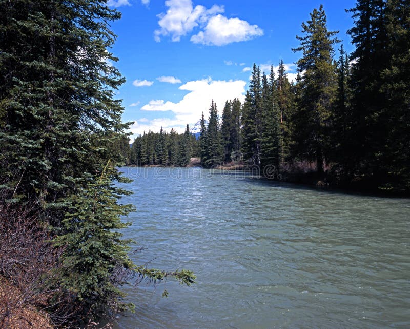 Bow River, Alberta. stock image. Image of capped, rocky 54704397