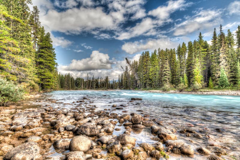 Bow River In Banff National Park Stock Photo Image Of Rocky Forest