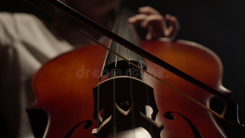 Bow and strings of cello on black background, closeup, down view. Concept of playing an instrument and enjoying music stock video