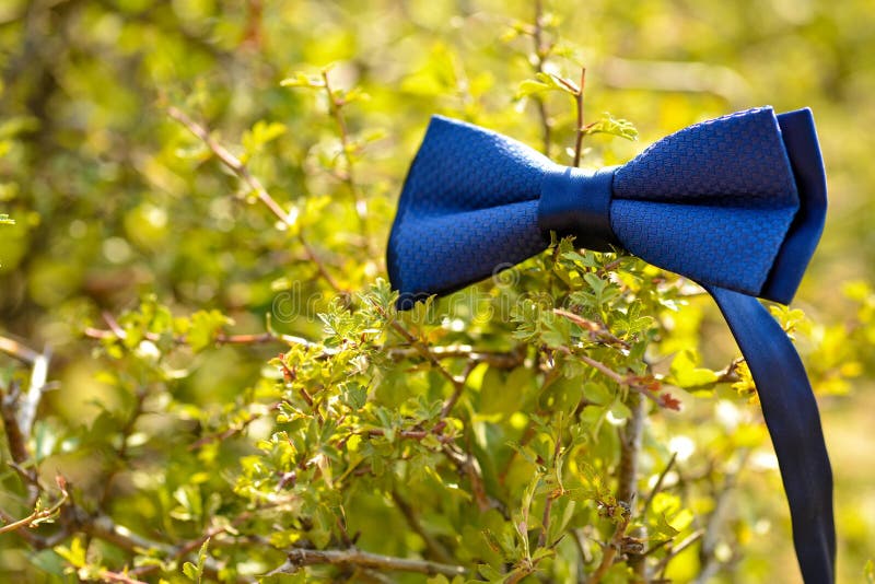 bow tie hanging