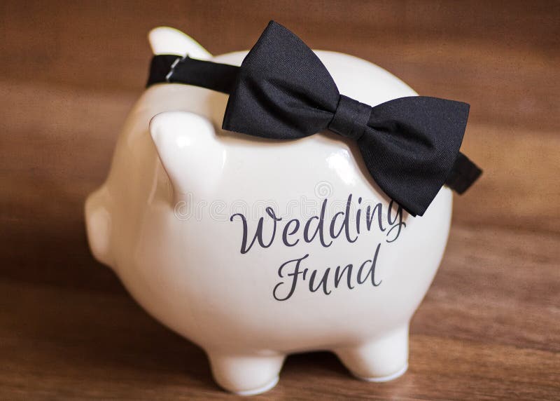 Bow Tie on a Piggy Bank. Wedding Budget Stock Image Image of