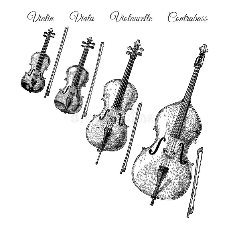 Bowed string instruments