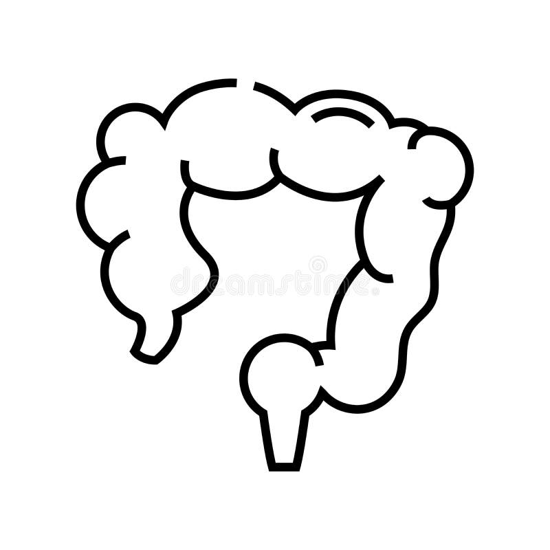 Bowel Line Icon, Concept Sign, Outline Vector Illustration, Linear ...