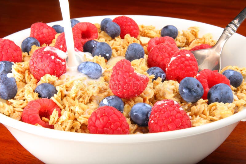 Bowl of cereal with fruit stock photo. Image of nutrition 8300804