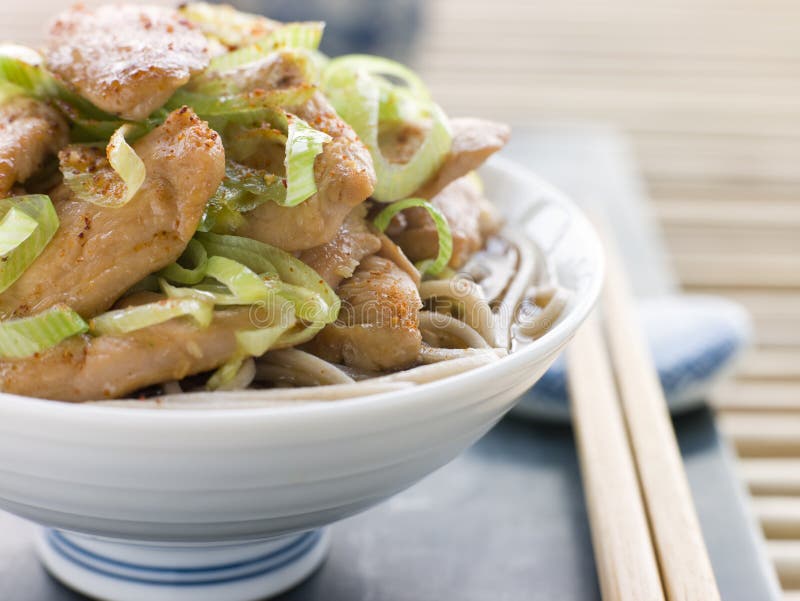 Bowl of Chicken and Leek Soba Noodles in Broth Stock Photo Image of
