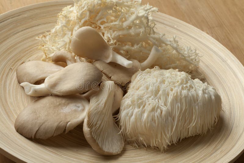 Bowl with fresh coral fungus, Lion's Mane Mushroom and oyster mushrooms