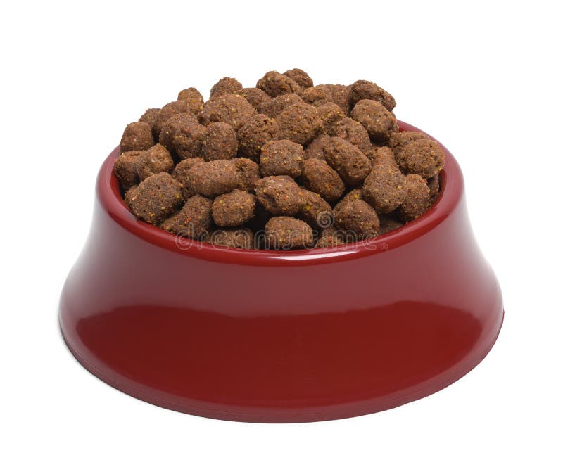 Bowl of Dog Food royalty free stock photos Bowl of Dog Food royalty free stock photos