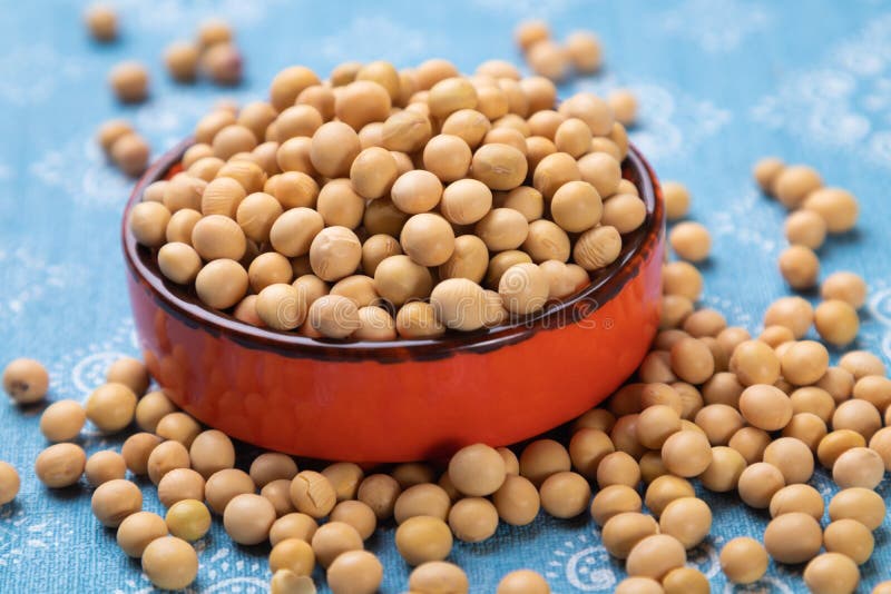 Bowl of dried soy beans stock photo. Image of staple 206343682