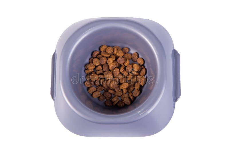 Bowl with dry cat food stock image. Image of feed, dish 133794957