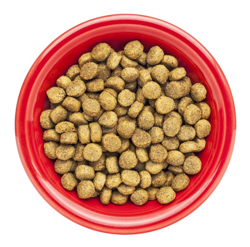 Bowl Of Dry Dog Food Stock Image Image Of Bowl Food 28671563 bowl-of-dry-dog-food-stock-image-image-of-bowl-food-28671563