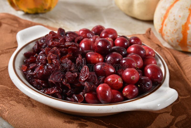Bowl of Fresh and Dried Cranberries Stock Photo Image of brown