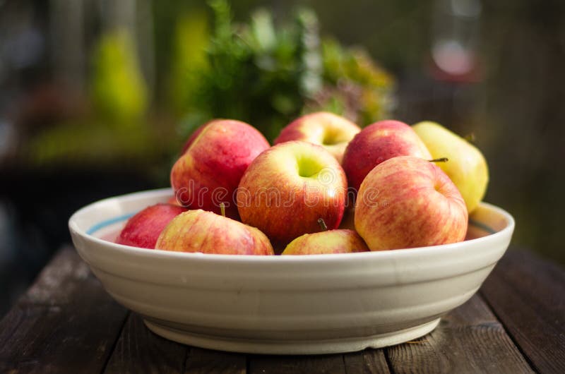 Bowl of Fresh Picked Apples Stock Photo Image of apple, malus 35440648