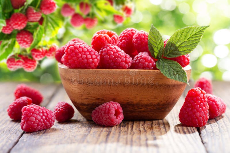 Bowl of fresh raspberries in a garden