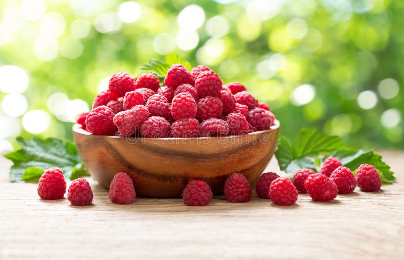 Bowl of fresh raspberries in a garden