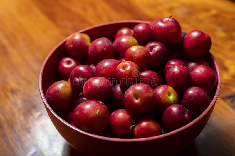 Bowl Full of Red Summer Plums on a Kitchen Bench Stock Image Image of juicy, stonefruit 174702549