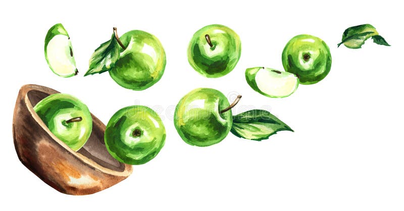 Bowl with green apples. Hand drawn horizontal watercolor illustration stock illustration Bowl with green apples. Hand drawn horizontal watercolor illustration stock illustration