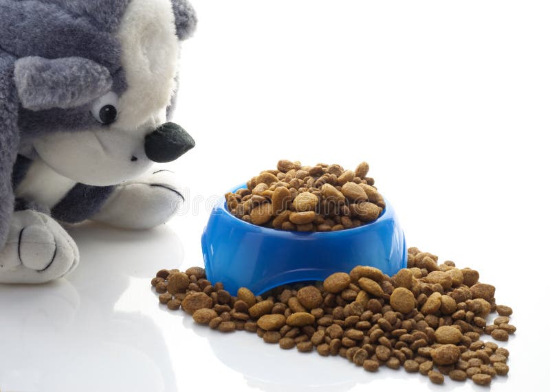 Bowl of kibble for dogs stock photo. Image of animals 17027372