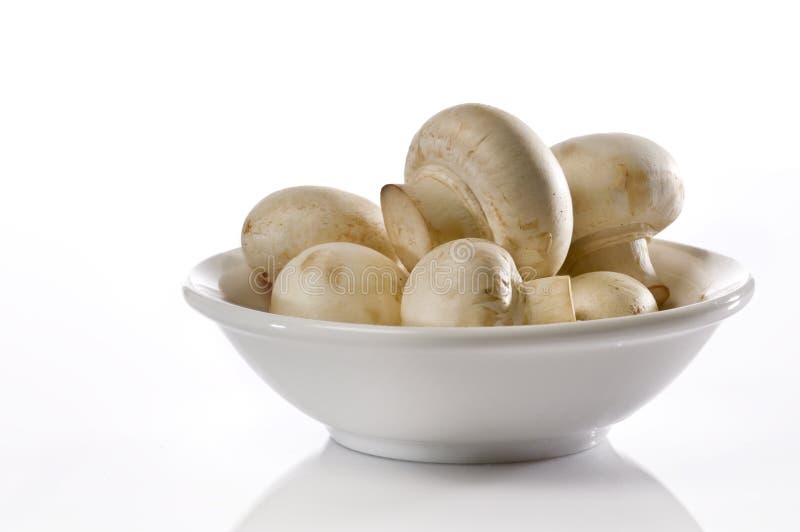 Bowl of mashroom