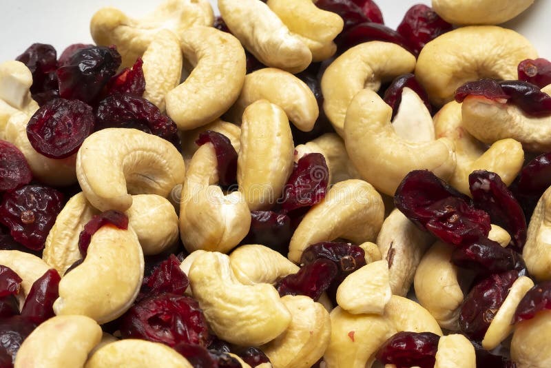 Bowl of Mixed Cashews and Cranberries Stock Photo Image of breakfast