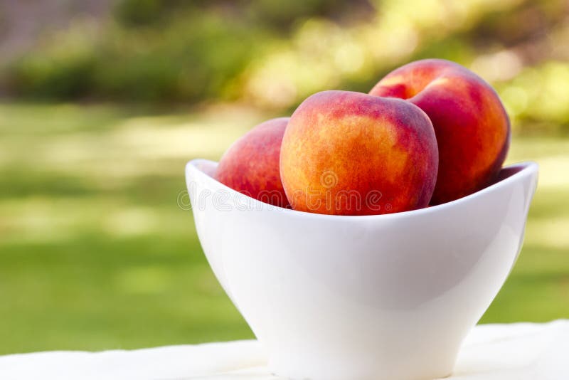 Bowl of Peaches stock image. Image of farmers, 26246921