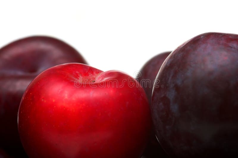 Bowl of Plums