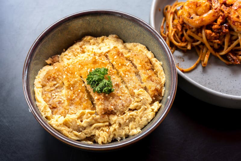 A Bowl of Pork Cutlet with Egg and Rice Stock Photo Image of bowl