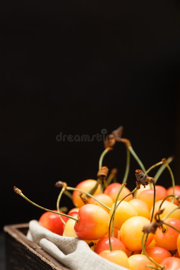 Bowl rainier yellow cherry, colorful dessert. Copy space for text stock photo