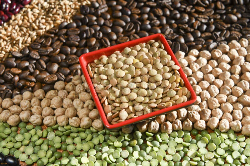 Bowl with Raw White Lentils on Various Seeds Grain Stock Image Image