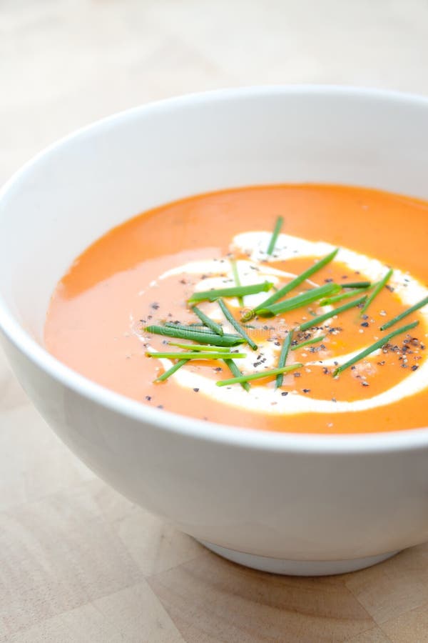 Bowl of soup stock image. Image of bowl, dinner, soup 101199671