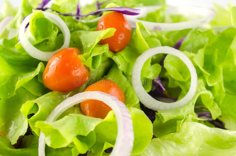 Bowl of vegetable stock photo. Image of healthy, dish 79388526
