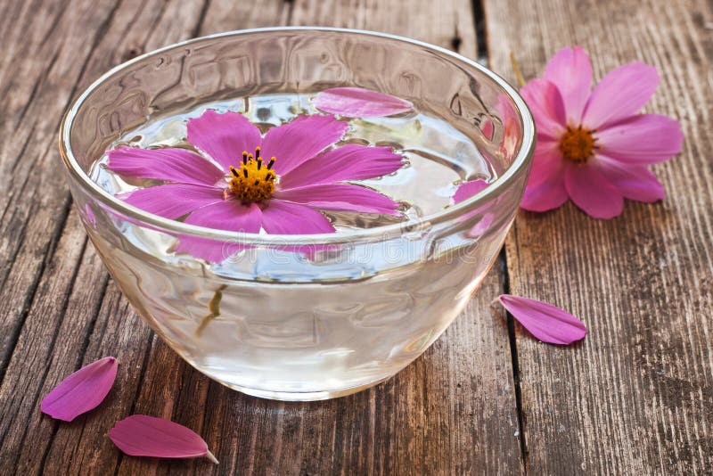 Bowl of Water and Floating Flower Stock Photo Image of brown, natural