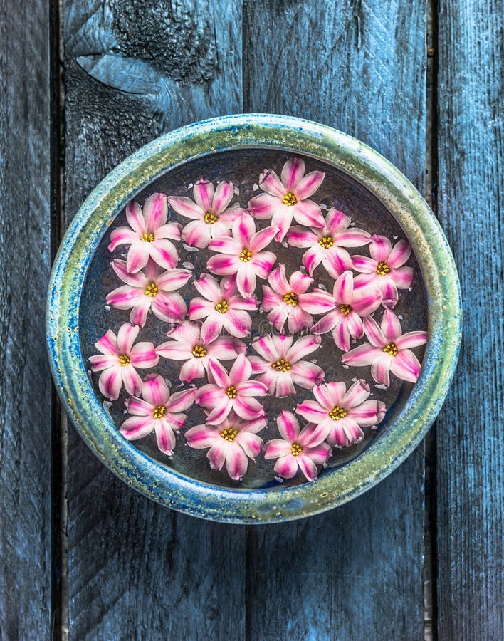 Bowl with water and flowers on blue wooden timber background