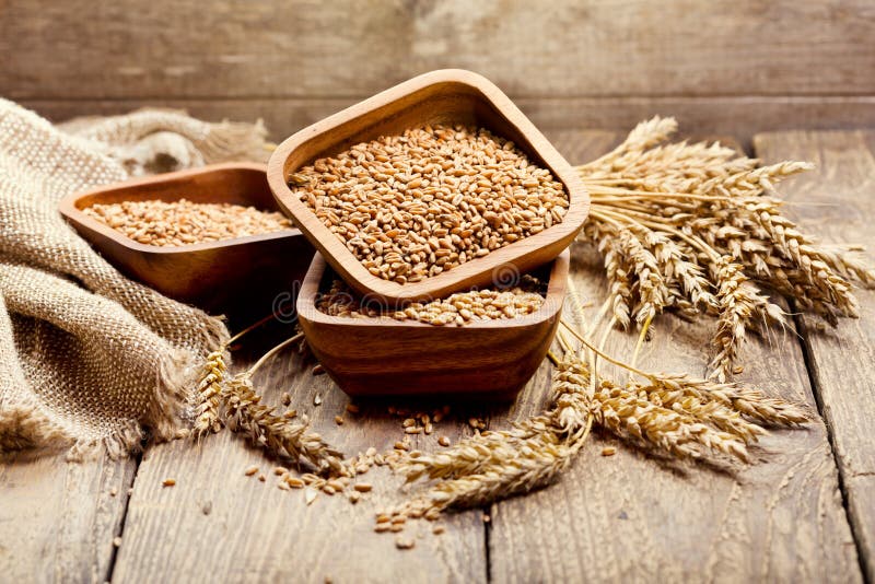 Bowl of wheat grains royalty free stock photos Bowl of wheat grains royalty free stock photos
