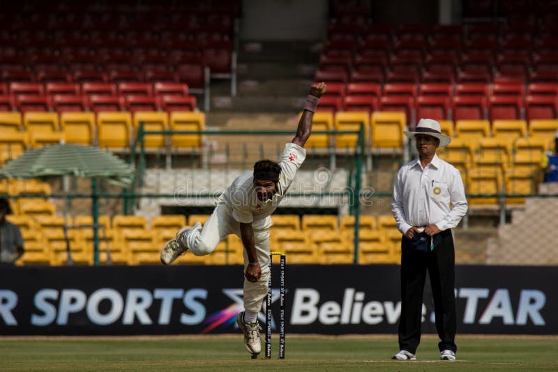 Bowling aggressivo nel cricket fotografia stock Bowling aggressivo nel cricket fotografia stock