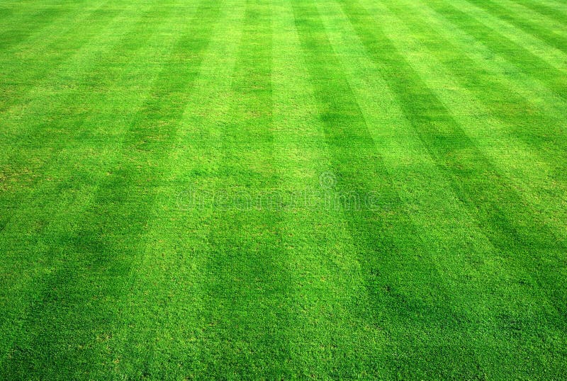 Bowling green grass fotografia stock