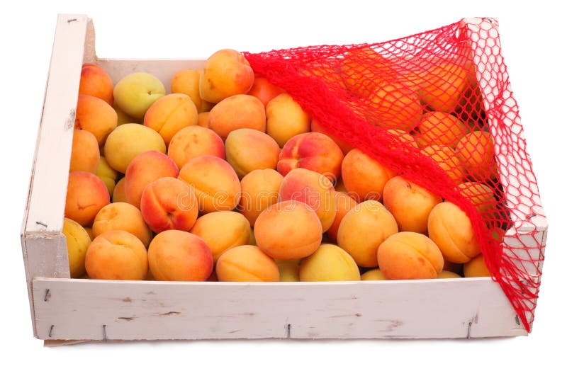 Box with apricots stock photo. Image of nature, food 15212376