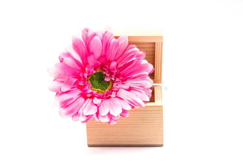 Box Flowers stock image. Image of gift, studio, celebration 32411049
