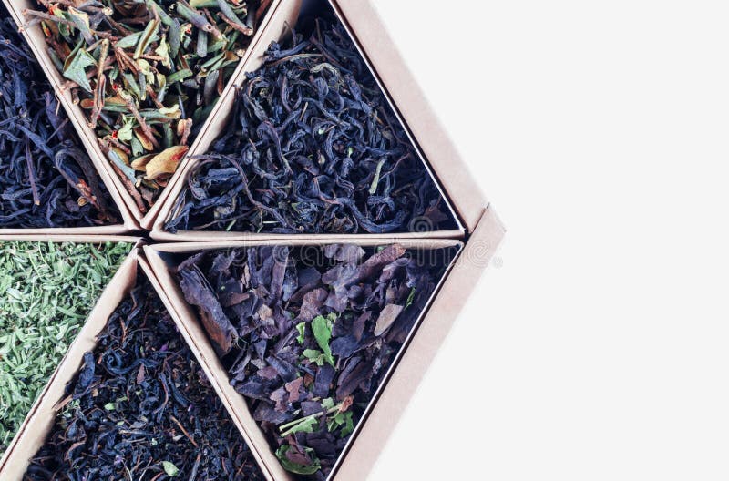 A Box of Forest Herb Teas Close Up Assorted Teas Stock Image Image of