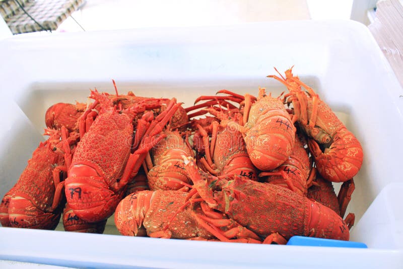 Box full of red lobsters stock image. Image of number 91046809