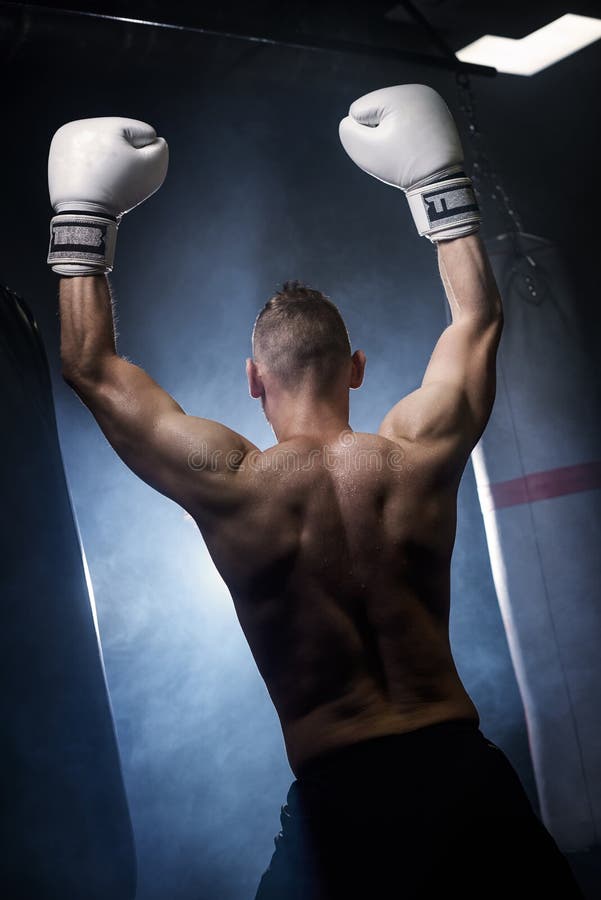 257 Boxer Arms Raised Photos Free & RoyaltyFree Stock Photos from