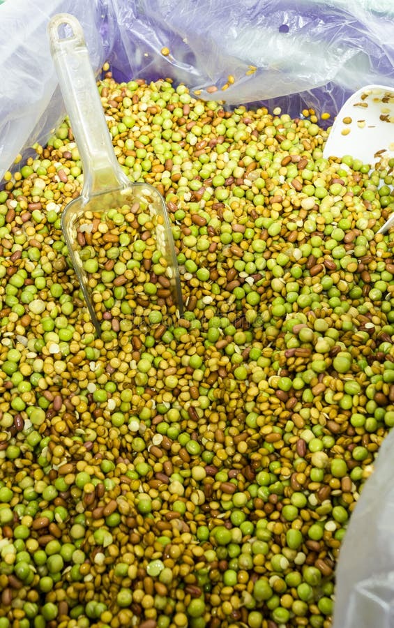 Boxed Bean Sprouts stock photo. Image of food, commerical 53635234