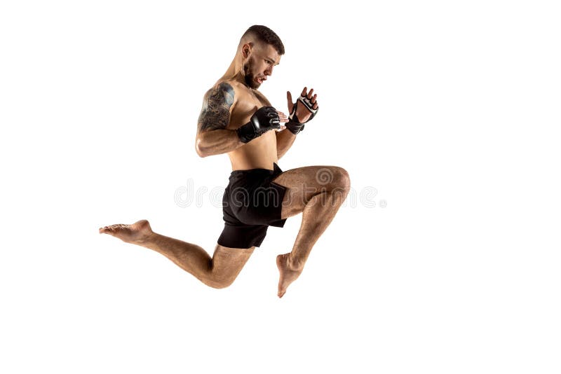 Boxeo profesional del combatiente aislado en el fondo blanco del estudio fotografía de archivo Boxeo profesional del combatiente aislado en el fondo blanco del estudio fotografía de archivo