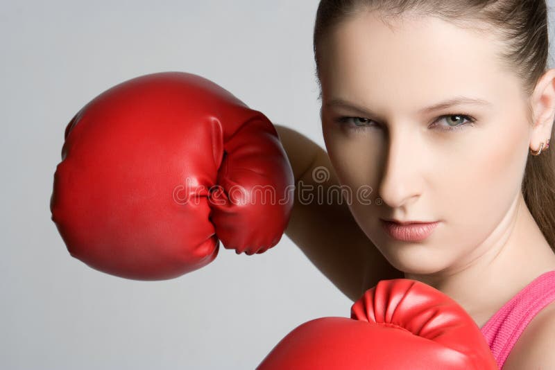 Boxer stock photos