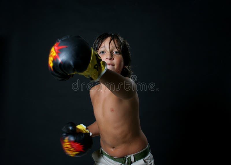 Boxer Boy Picture. Image 597699