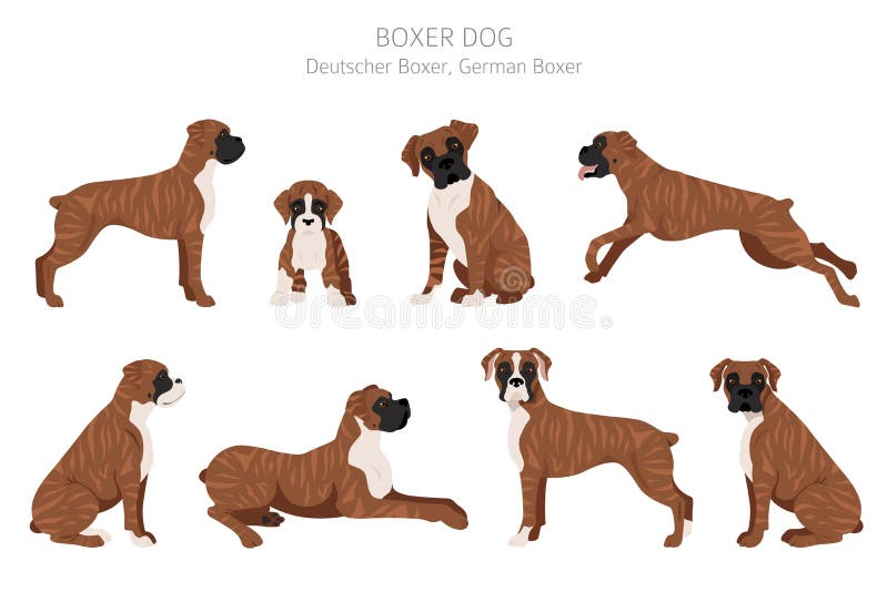 Download Boxer Dog Silhouette Stock Illustrations 1 187 Boxer Dog Silhouette Stock Illustrations Vectors Clipart Dreamstime