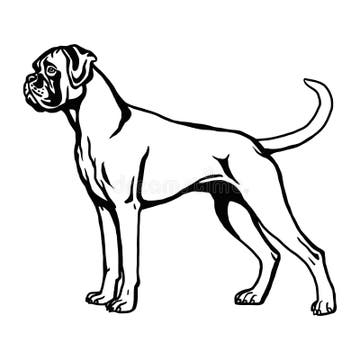 Boxer Dog Coloring Page