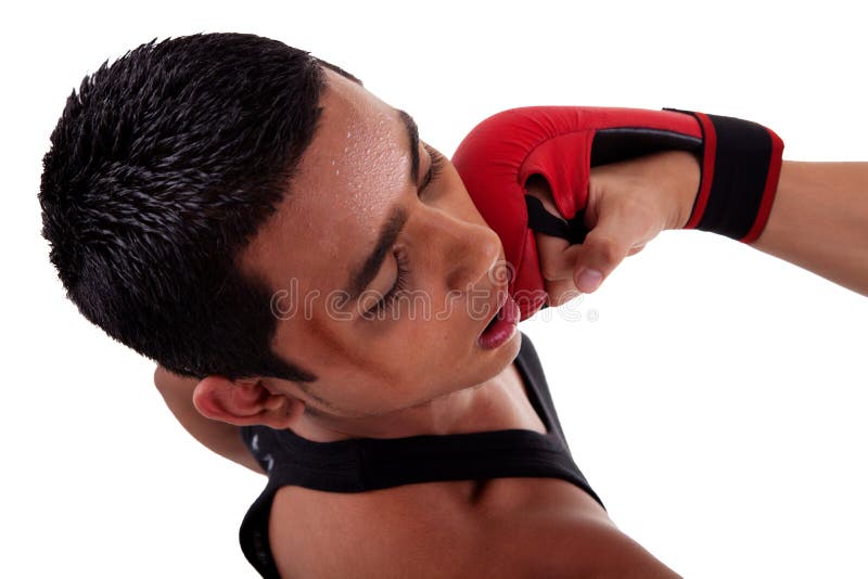 Boxer fight, punch in face