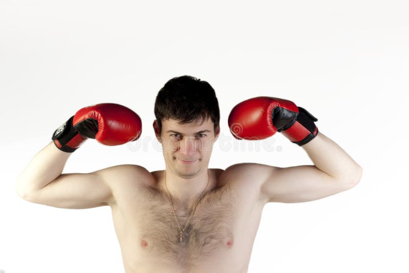 Boxer with Gloves for Fight Stock Image Image of muscle, adult 12487097